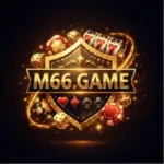 M66 Game