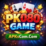 PK080 Game